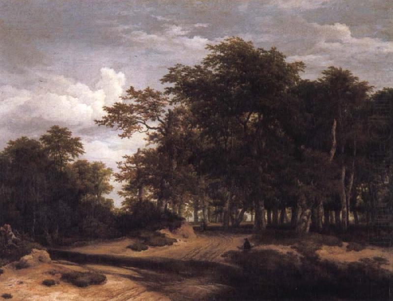 Jacob van Ruisdael The Great forest china oil painting image